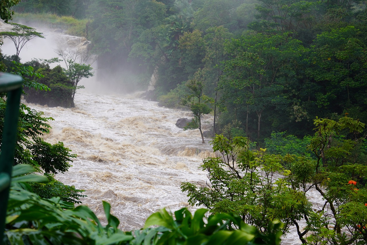 Online session: Early warning systems and flood evacuation planning