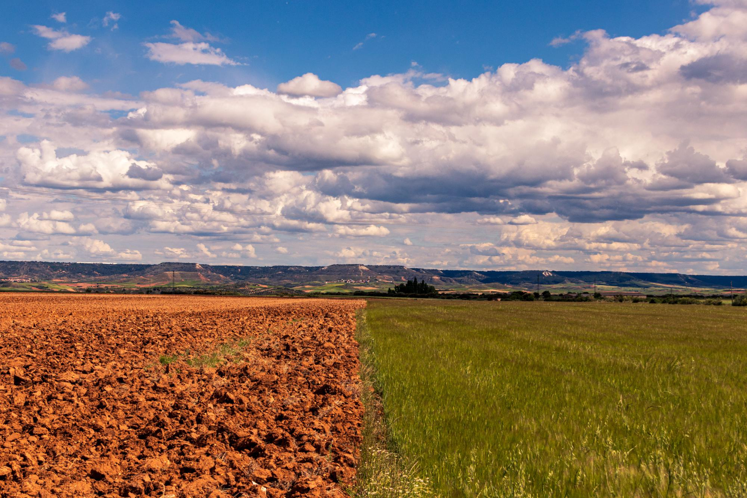 Applicability of global climate projections for local scale adaptation (Online session 15 May)