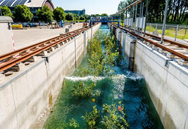 Nature-based solutions: before and after implementation