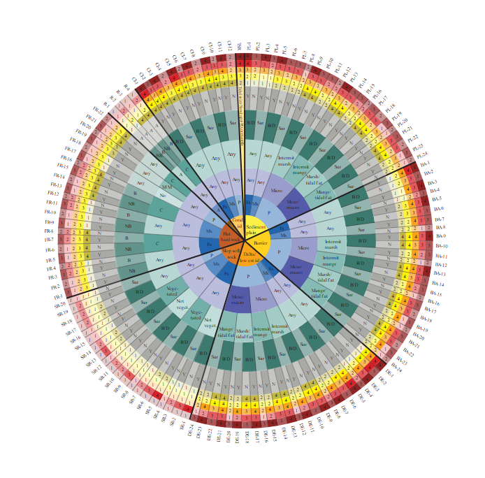 IPDC Online Session: The Coastal Hazard Wheel – a universal coastal adaptation framework