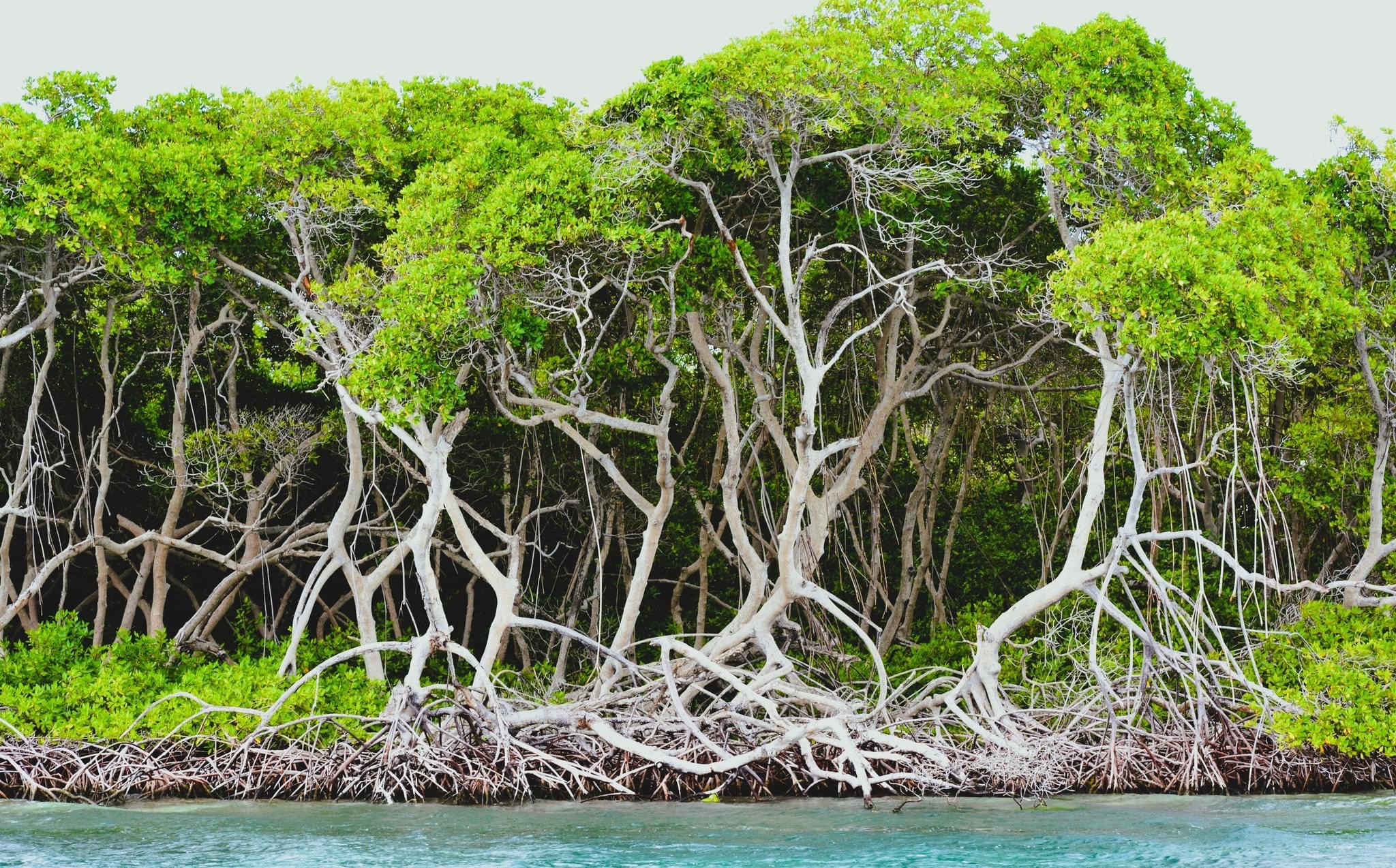 Supporting Aruba in developing it’s National Adaptation Strategy